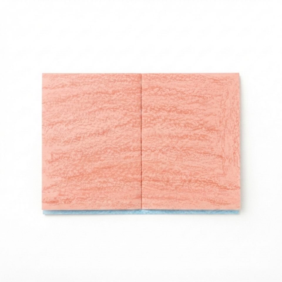 A coral paper rectangle with a crease running down its middle and a thin blue bottom edge.